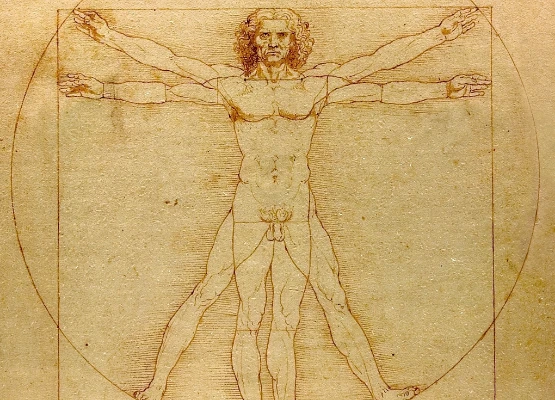 Leonardo da Vinci's The Vitruvian Man